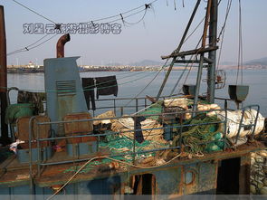 油貴魚少虧本，威海漁港大船不出海實(shí)拍背后 畜牧漁業(yè)飼料銷售困境與出路探析
