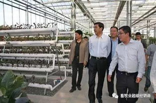 畜牧業(yè)超級(jí)經(jīng)銷商商學(xué)院第三期招生開啟 賦能飼料銷售新未來(lái)