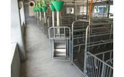 自動(dòng)化料線規(guī)格與萬晟畜牧設(shè)備售后保證的全面解析