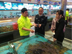 高明區(qū)農(nóng)林漁業(yè)局畜牧漁業(yè)飼料銷售工作滿意度調(diào)查報(bào)告